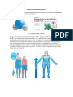 BIOMOLECULAS_INORGANICAS_Son_de_origen_m.docx