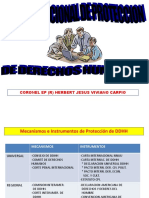 Sistema Nacional de Protección de DDHH