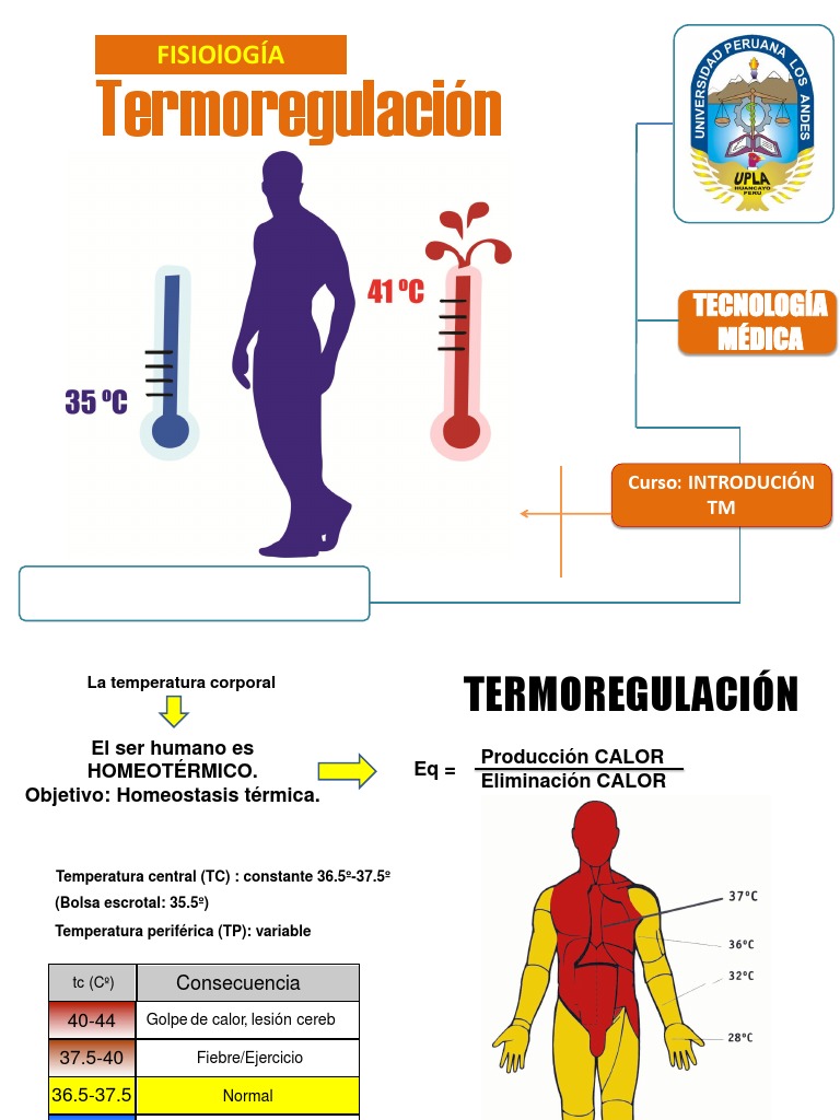 FisioLogia regulacion termica Termorregulación Enfermedades y trastornos