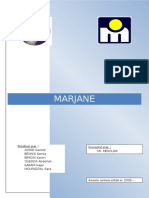 Etudes Marketing Marjane PDF