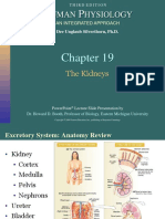 Uman Hysiology: The Kidneys