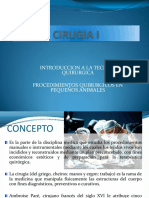 Cirugia I PDF