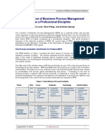 06-05 WP ABPMP Activities - Lusk et al2.pdf