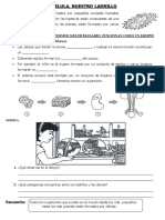 practicalacelula-140917002226-phpapp02.pdf