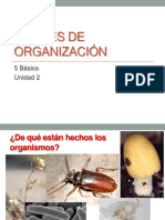 ppt unidad2