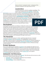 Distinguishing Characteristics: Cytoplasm Cell Membrane Phospholipids