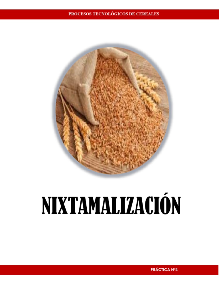 Nixtamalización 4 | PDF | Maíz | Cocina de las Americas