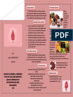 Leaflet Anemia