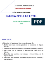 Injuria Celular Subletal