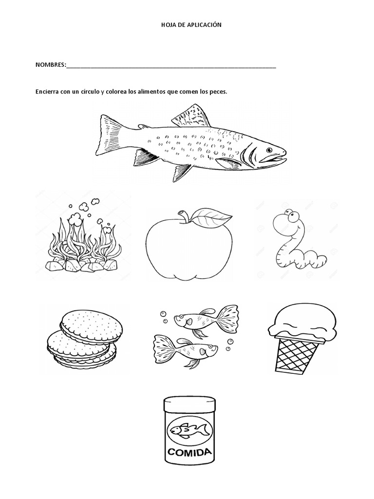 Hojas De Trabajo De Peces