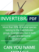 Invertebrates