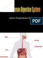 2.3 A HUman Digestive System