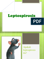 Penyuluhan Leptospirosis