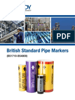 British Standard Pipe Markers Brochure Europe English PDF