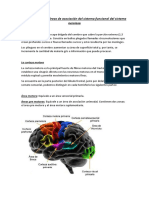 El Concepto de Organicidad