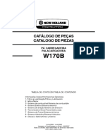 CD 84243347 W170B PDF
