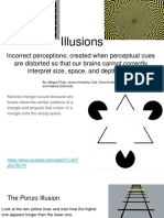 Illusions Powerpoint