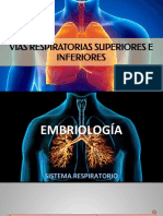 VÍAS RESPIRATORIAS INFERIORES