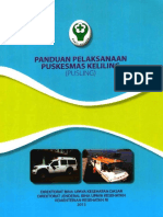 Panduan Pusling 2013.pdf