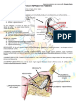 Aparato Reproductor Femenino.pdf