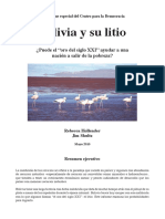 DemocracySpanishLitioSP.pdf