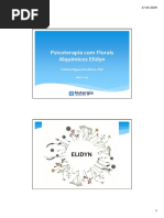 Apresentação-Elidyn19 (1)
