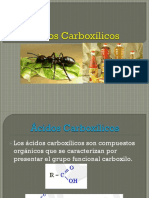 Ácidos Carboxílicos 12-09nvo