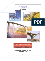 Puentes Texto 17.pdf