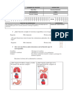 ciencias prueba cuerpo humano.docx