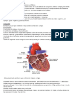 Aparato Cardiovascular