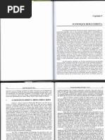 O Enfoque Comportamental