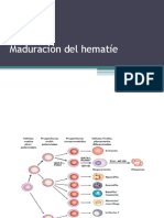 04 Estructura y Función Del Hematíe La Hemoglobina