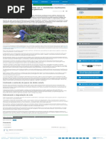 Agricultores Brasileiros Unem-se a Cientistas Nucleares Para Utilizar Fertilizantes Orgânicos _ ONU Brasil