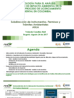 Metodología Para El Análisis Económico Ambiental - Dra. YOLANDA CASALLAS - ANLA