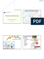 Integrated Metabolism Pathway: Where Chemistry and Biology Meet