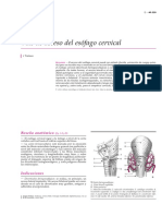 Vias Acceso Esofago Cervical PDF