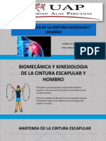 Biomecánica de la cintura escapular y hombro: movimientos y músculos