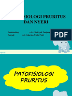 133247822-Patofisiologi-Gatal-Dan-Nyeri.pptx