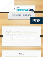 Sistema Nervioso. Biología Humana