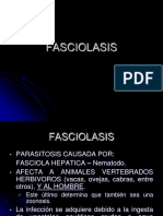 Fasciolasis