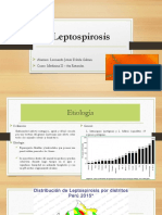 Leptospirosis