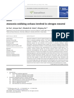 Ammonia-Oxidizing Archaea Involved in Nitrogen Removal