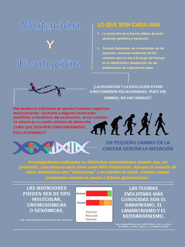 Infografía Evolucion y Mutacion Evolución Mutación