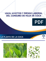 Charla de hoja de coca_Final.pptx