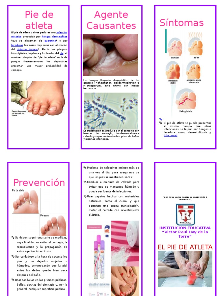 TRIPTICO PIE DE ATLETA2.doc Inmunología Epidemiología