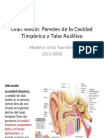 Oído Medio