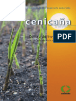 Cenicana 2009