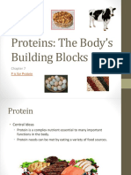 Chapt. 7 Proteins (Autosaved)