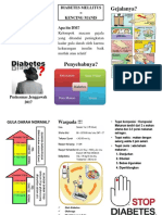 Leaflet Diabetes Melitus