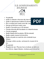 Sarcini de Curatenie Zilnice PDF